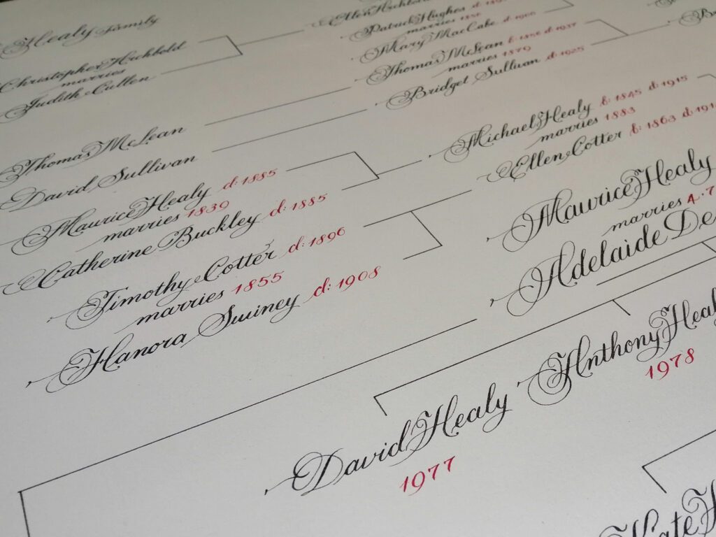 Close-up of a handwritten genealogy chart showing family names, relationships, and birth dates in ornate script.